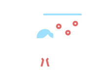 digital marketing in gorakhpur